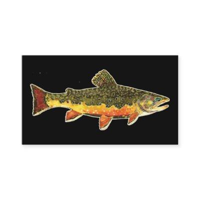 The Beautiful Brook Trout, Fisherman's