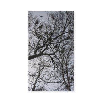The Crows Small Photo Card