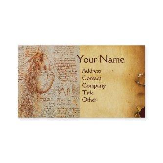 The Heart and the Bronchial Arteries Parchment