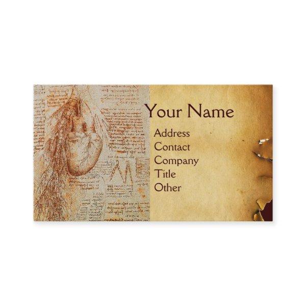 The Heart and the Bronchial Arteries Parchment