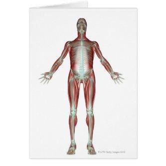 The Musculoskeletal System 4