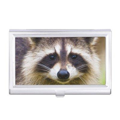 The raccoon, Procyon lotor Case For