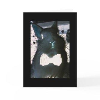 THIS CRAZY BUNNY MEANS "BUSINESS" **HAPPY EASTER** HOLIDAY CARD