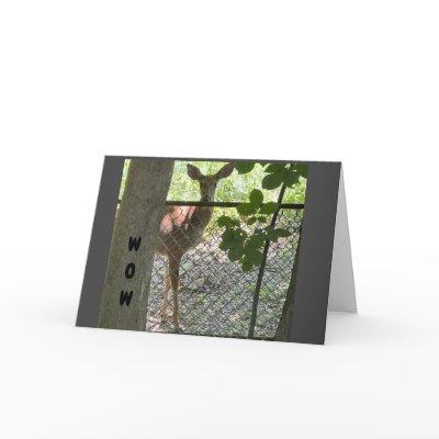 THIS DEER MEANS "BUSINESS" HAPPY BIRTHDAY TO "YOU" CARD