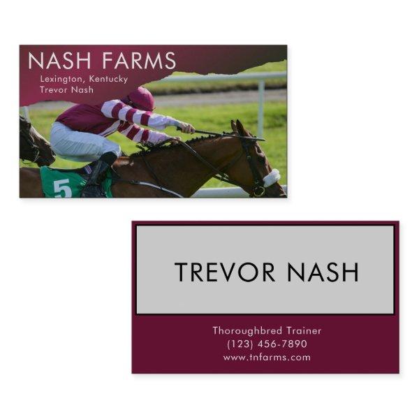 Thoroughbred Horse Trainer Farm & Boarding Busines