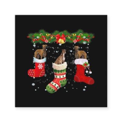 Three Greyhound Dog In Sock Christmas Santa Square