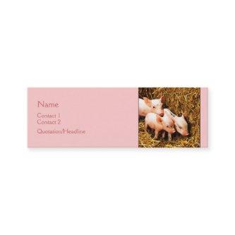 Three Little Pigs Mini