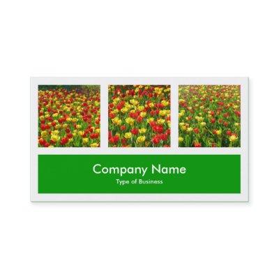 Three Photos Plus One - Grass Green