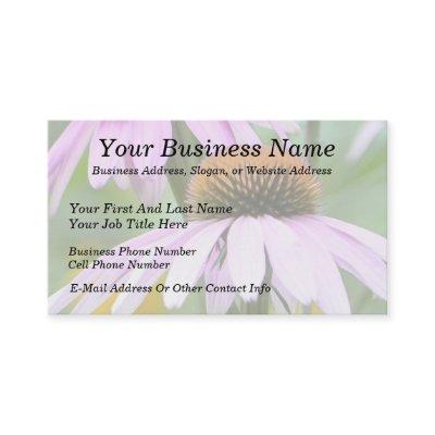 Three Purple Coneflowers