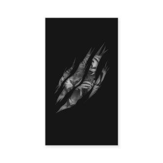 Tiger Face Torn Claw Wild Safari Animal