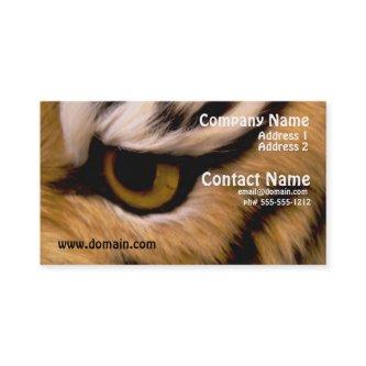 Tiger Photo