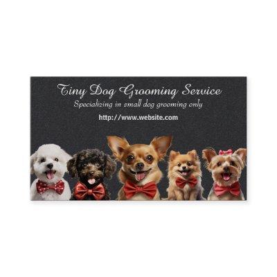 Tiny Dog Grooming Service