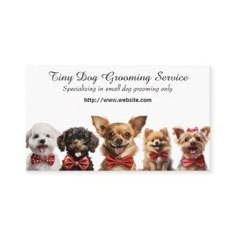 Tiny Dog Grooming Service
