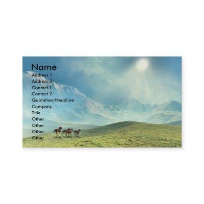 TOUCHING  THE  CLOUDS  BUSINESS  CARD