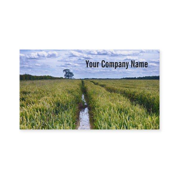 Tractor Tracks through Field Custom