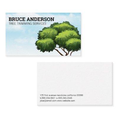 Tree and Sky | Landscaping