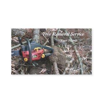 Tree Clearing Service by Professional Arborist