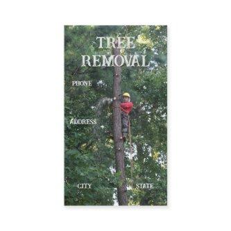 Tree Clearing Services