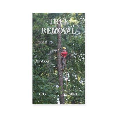Tree Clearing Services