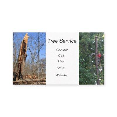 tree cutting arborist climber tree damage lighting