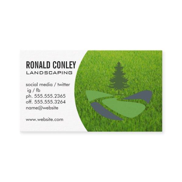 Tree Landscape | Grass | Blue Collar