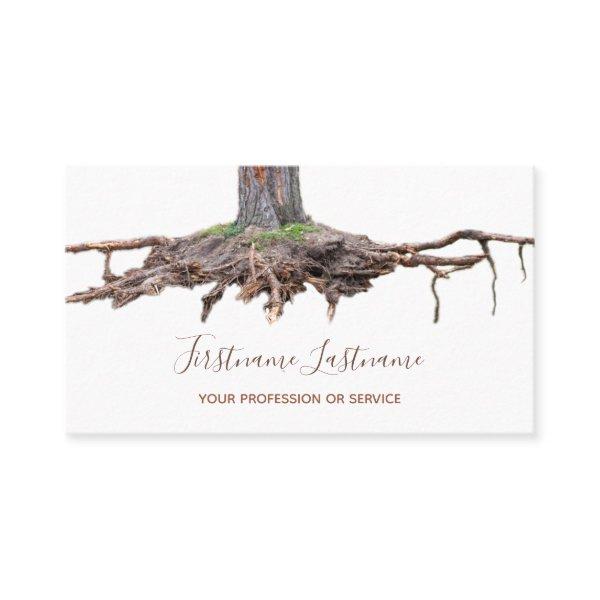 Tree root removal and tree excavation expert