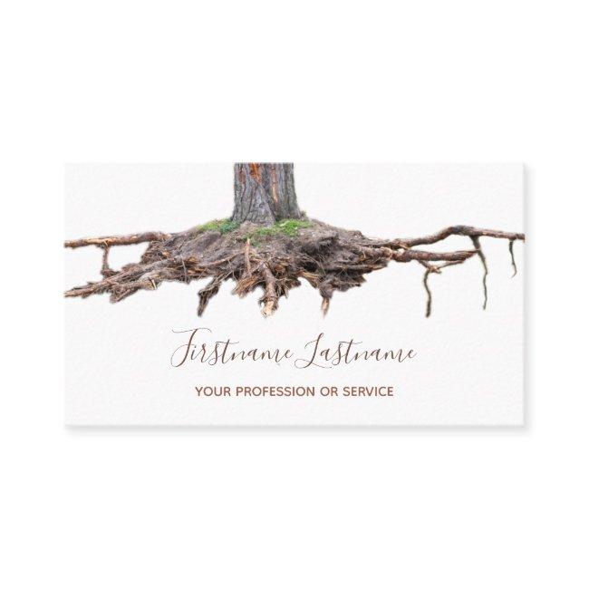 Tree root removal and tree excavation expert