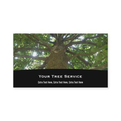 Tree Service