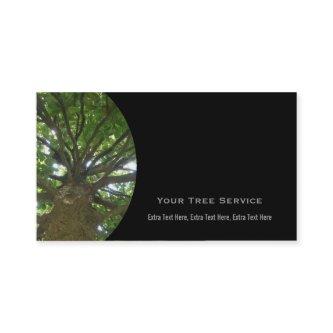 Tree Service