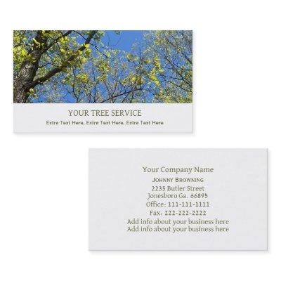 Tree Service