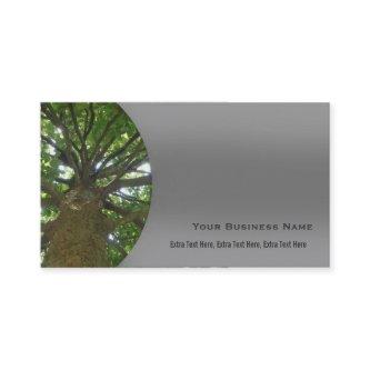 Tree Service