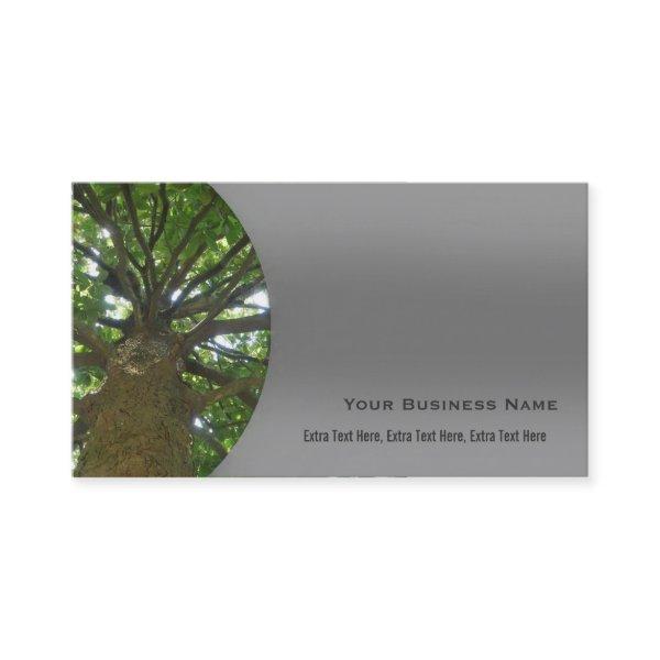 Tree Service