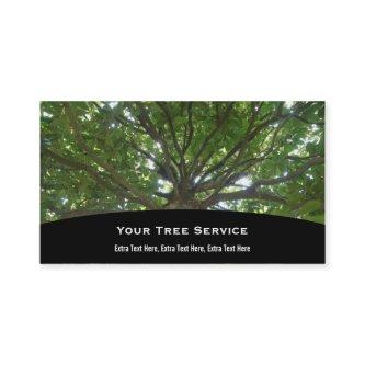 Tree Service