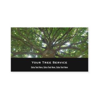 Tree Service