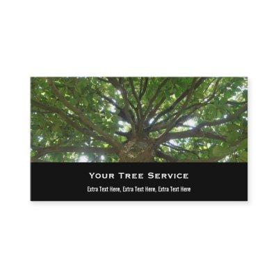 Tree Service
