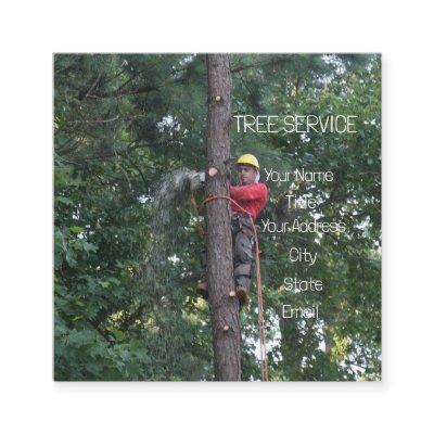 Tree Service   Square