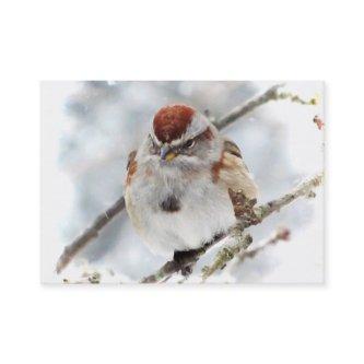 Tree Sparrow in Winter ATC