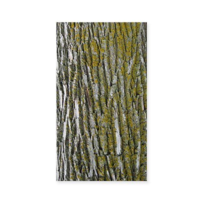 Tree trimmers landscaping firewood stump removal