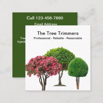 Tree Trimming And Removal Service Square