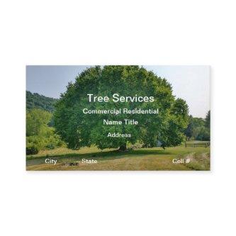 Tree Trimming Arborist Services