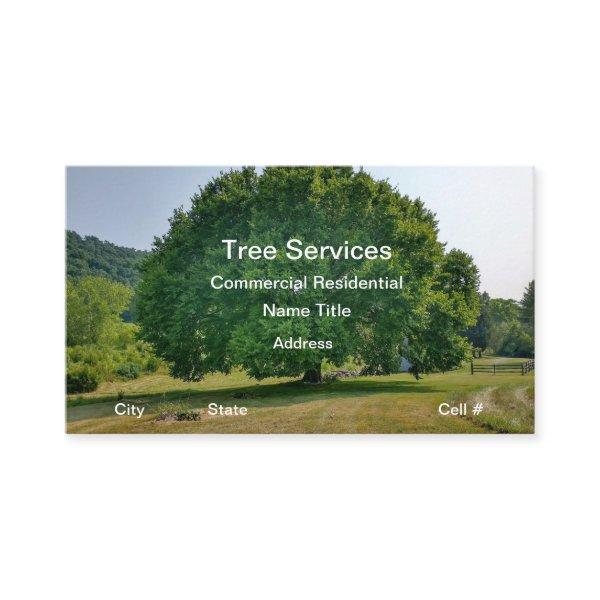 Tree Trimming Arborist Services