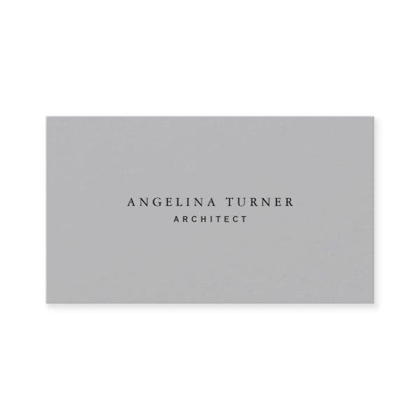 Trendy Simple Minimalist Silver Gray Professional