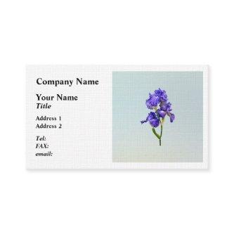 Triple Purple Iris