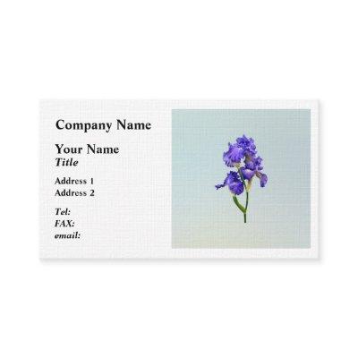 Triple Purple Iris