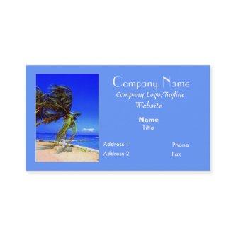 Tropic Breeze