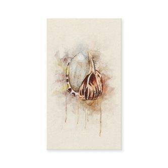Tropical Coastal Beach Sea Shell Watercolor