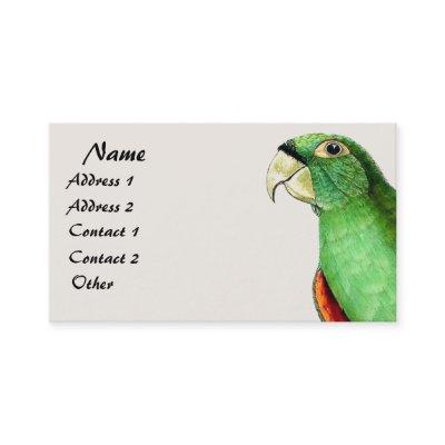 Tropical Conure Parrot Bird Wildlife