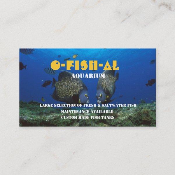 Tropical Fish l Aquarium-Related Business