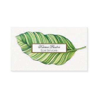 Tropical Leaf, Spa, Massage