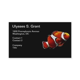 Tropical Orange Clownfish Clown Fish
